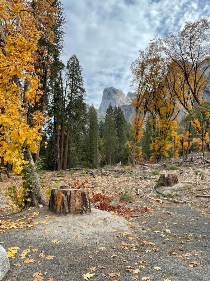 Yosemite Escapes - Pine Mountain Lake Groveland Eksteriør billede